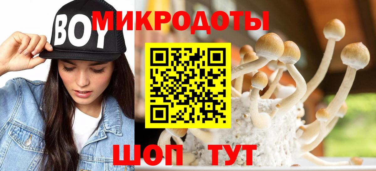 Галлюциногенные грибы мухоморы Кумертау